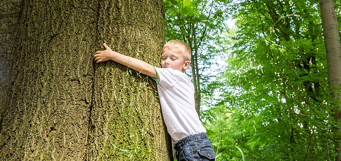 Energieaustausch - wer schon mal einen Baum umarmt hat, weiß was gemeint ist.