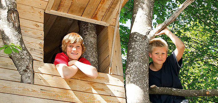 Wer ein Baumhaus hatte, erinnert sich gerne daran. Auch hier gilt: Der Baum muss sicher sein. Wir beurteilen das für Sie.