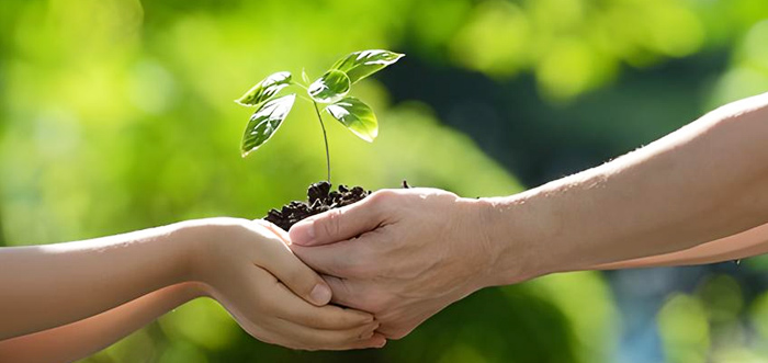 Wir pflegen nicht nur Ihren Baumbestand, sondern pflanzen auch neu. Wir beraten Sie gerne, welche Baum und Strauch nach Ihren Wünschen zu Ihnen am besten passt.