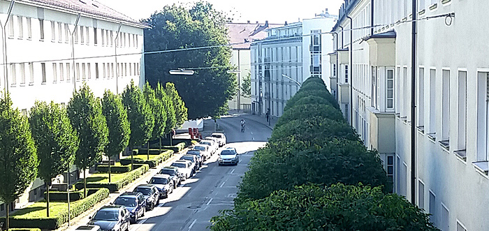 Alle Grünanlagen müssen für Straßen und Gehwege verkehrssicher sein. Rufen Sie uns an, wir machen das für Sie.