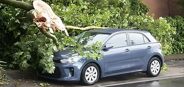 verkehrssicherheitspflicht- Die Verkehrssicherheitspflicht regelt viele Fälle, wenn die Natur auf den Straßenverkehr trifft. Damit es nicht zu Problemen kommt, kommen wir gerne vorher vorbei.